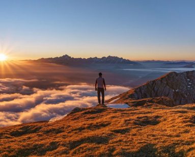 landscape photo on biopharma website