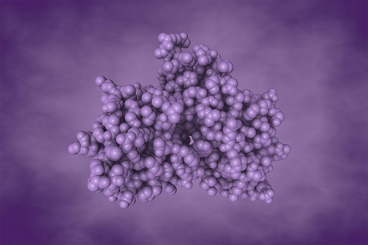 Preclinical stage biotechnology company website