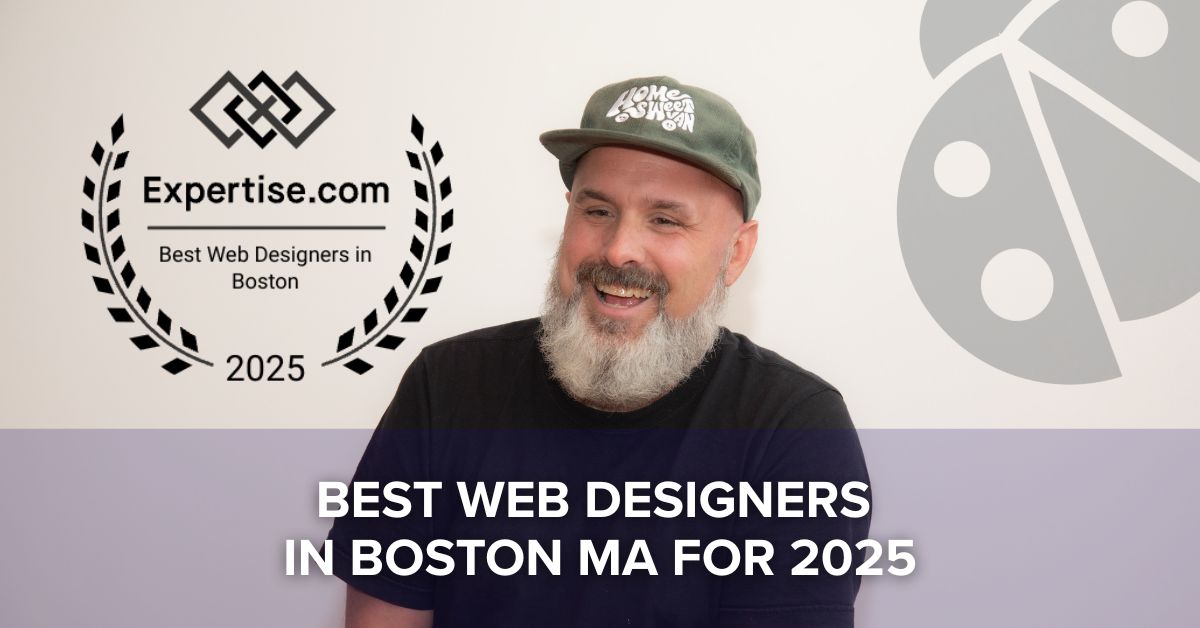 Ladybugz named in 2025 List of Best Web Designers in Boston MA.