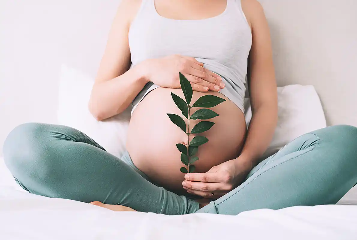 Woman with a leaf on a belly for a website featured image