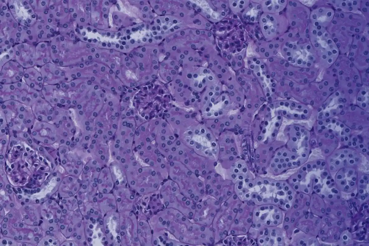 Modern Biotech Website Background Image